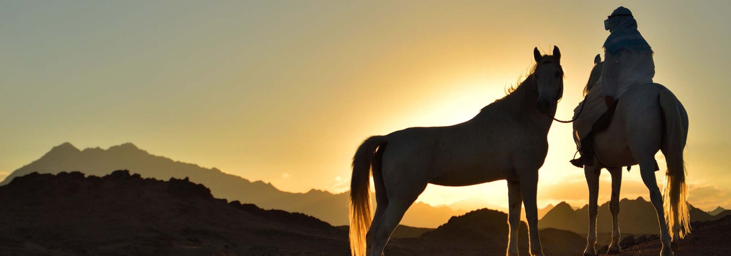 egypt-equestrian-dream-3-3301.jpg